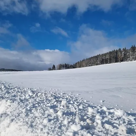 Pure! - Modern - Natuerlich - Pur *