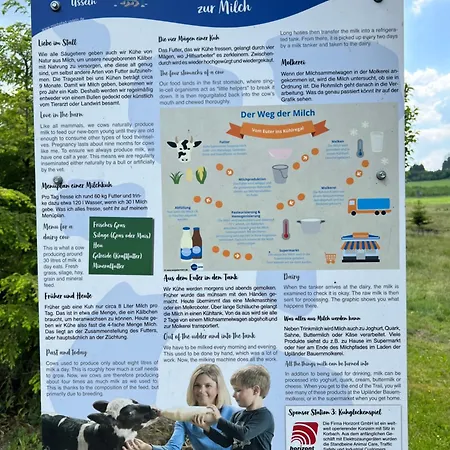 Pure! - Modern - Natuerlich - Pur Nyaraló Willingen