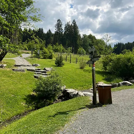 Pure! - Modern - Natuerlich - Pur Σπίτι διακοπών Willingen (Upland)