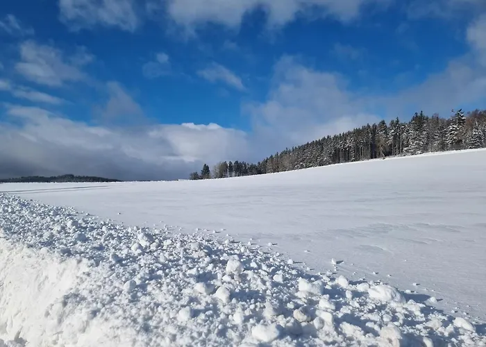 Pure! - Modern - Natuerlich - Pur *