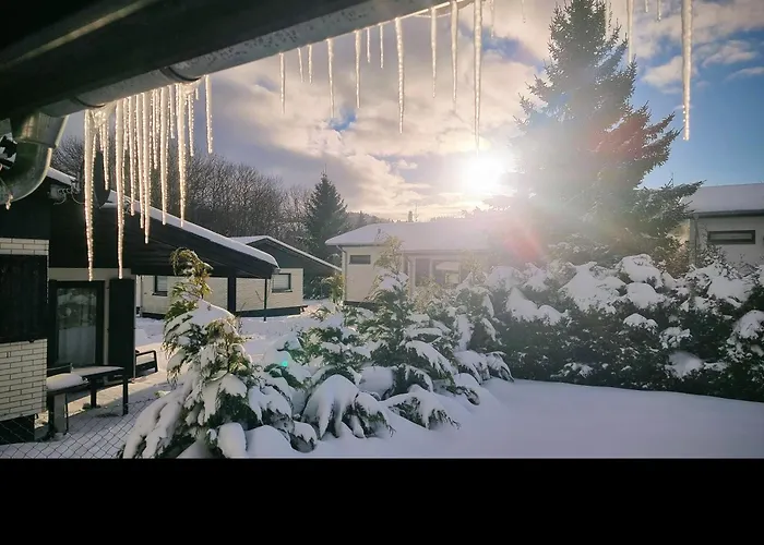 Pure! - Modern - Natuerlich - Pur *