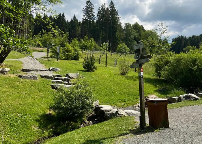 Pure! - Modern - Natuerlich - Pur Semesterbostad Willingen (Upland)